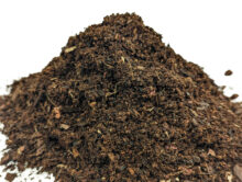 Ericaceous Compost (40L) - Naturally Lower Ph For Acid Loving Plants