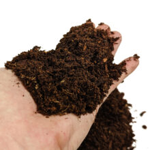 Ericaceous Compost (40L) - Naturally Lower Ph For Acid Loving Plants
