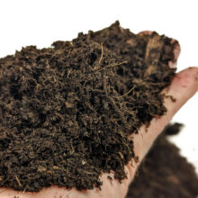 Fruit And Vegetable Compost (40L) - Peat-free Soil Association Organic Approved